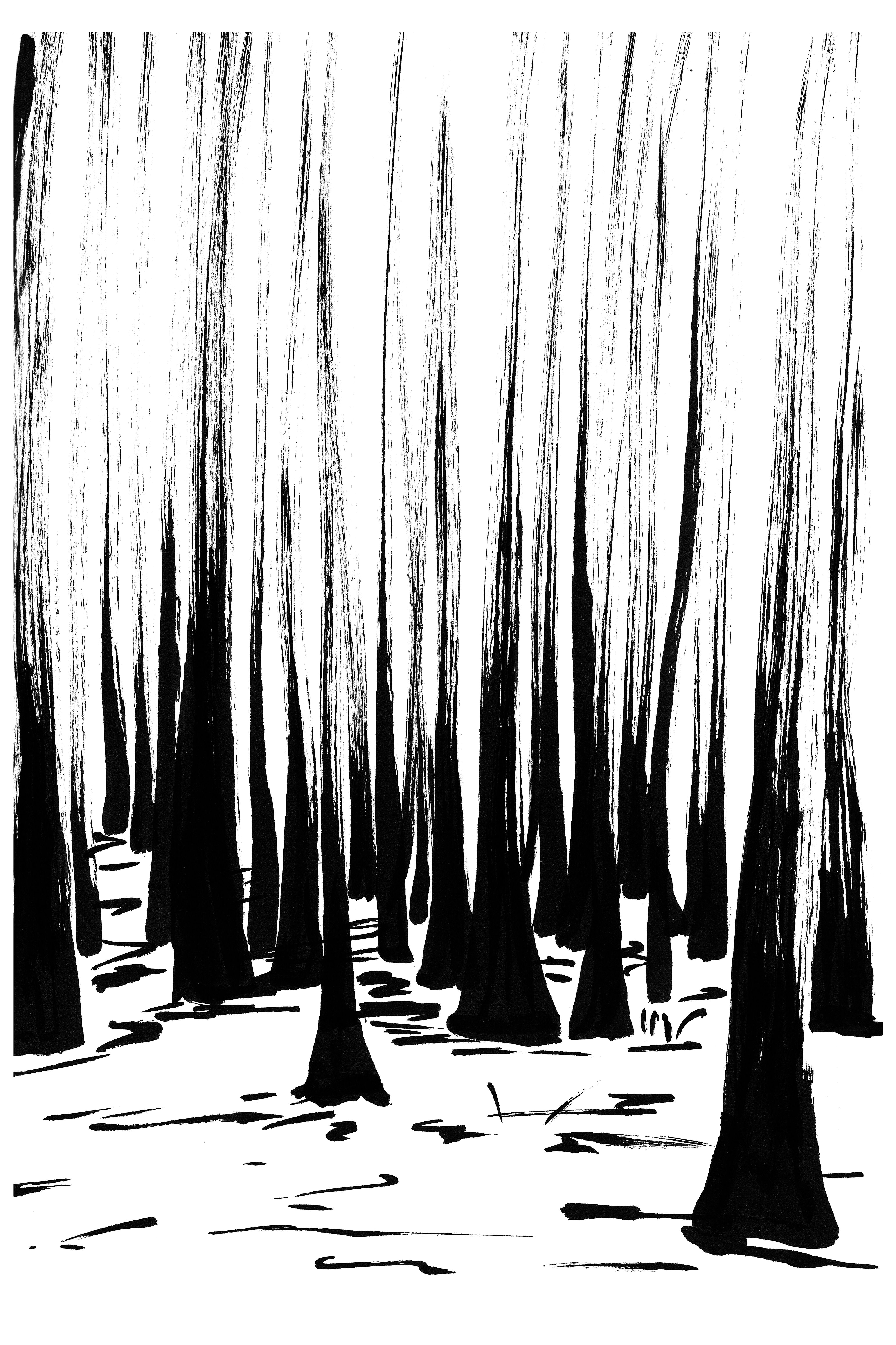 Cuscowilla Nature and Retreat Center... - Terrence Ho