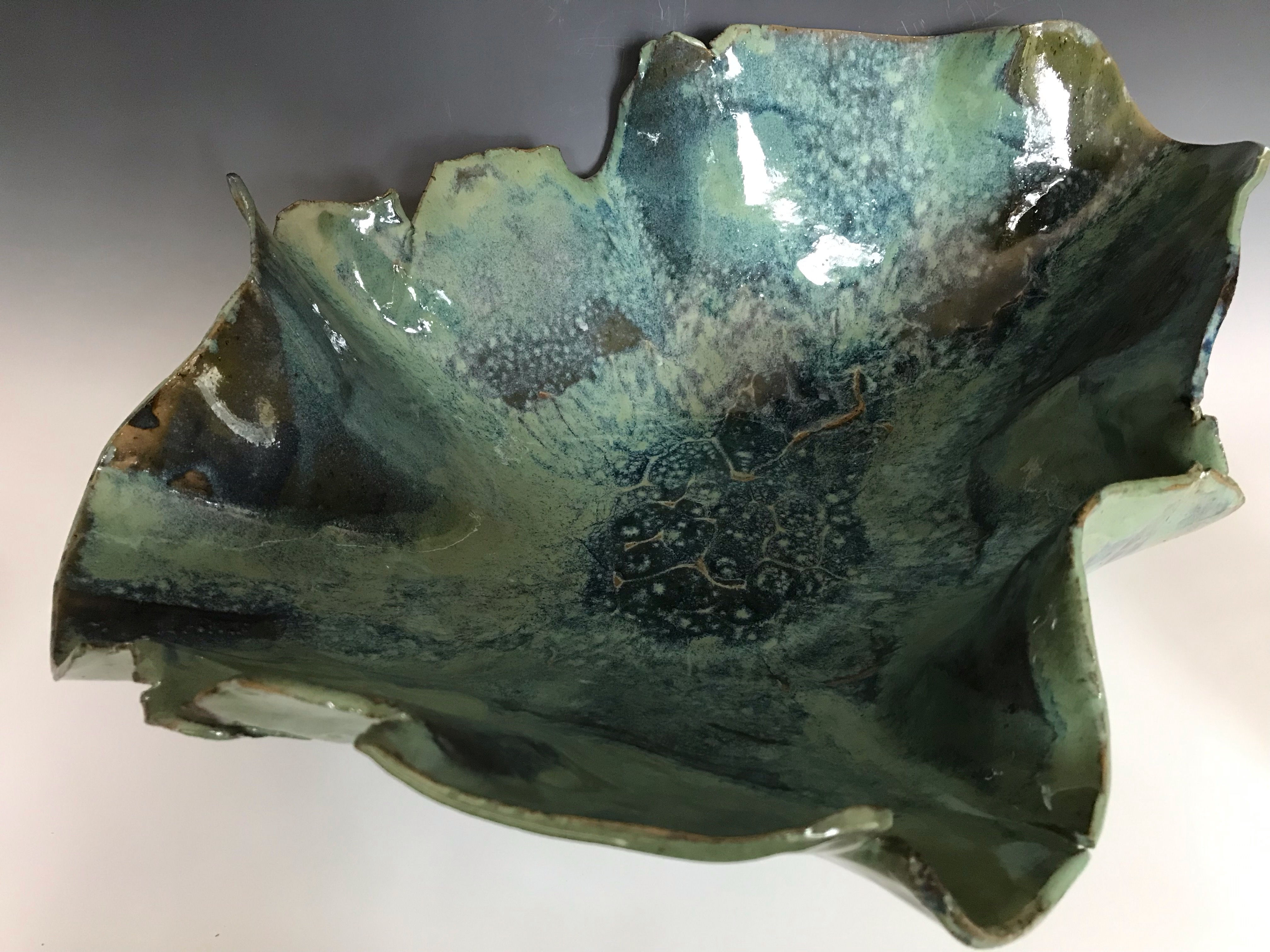 Florida Springs - Dorota Haman