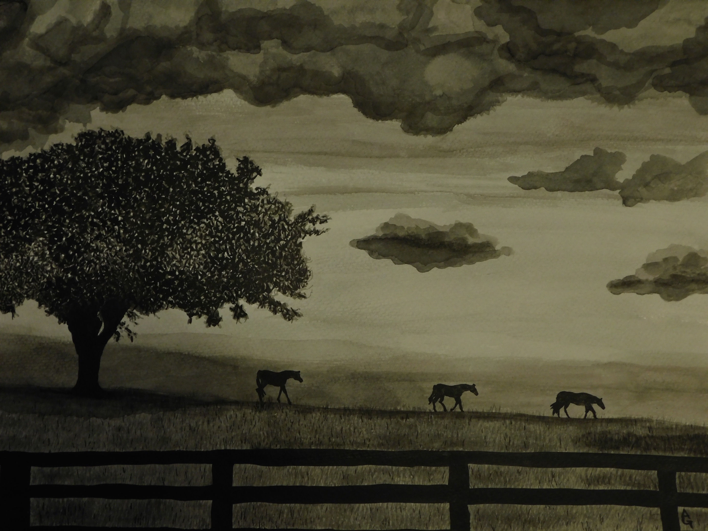 Before the Storm - Ali Graves