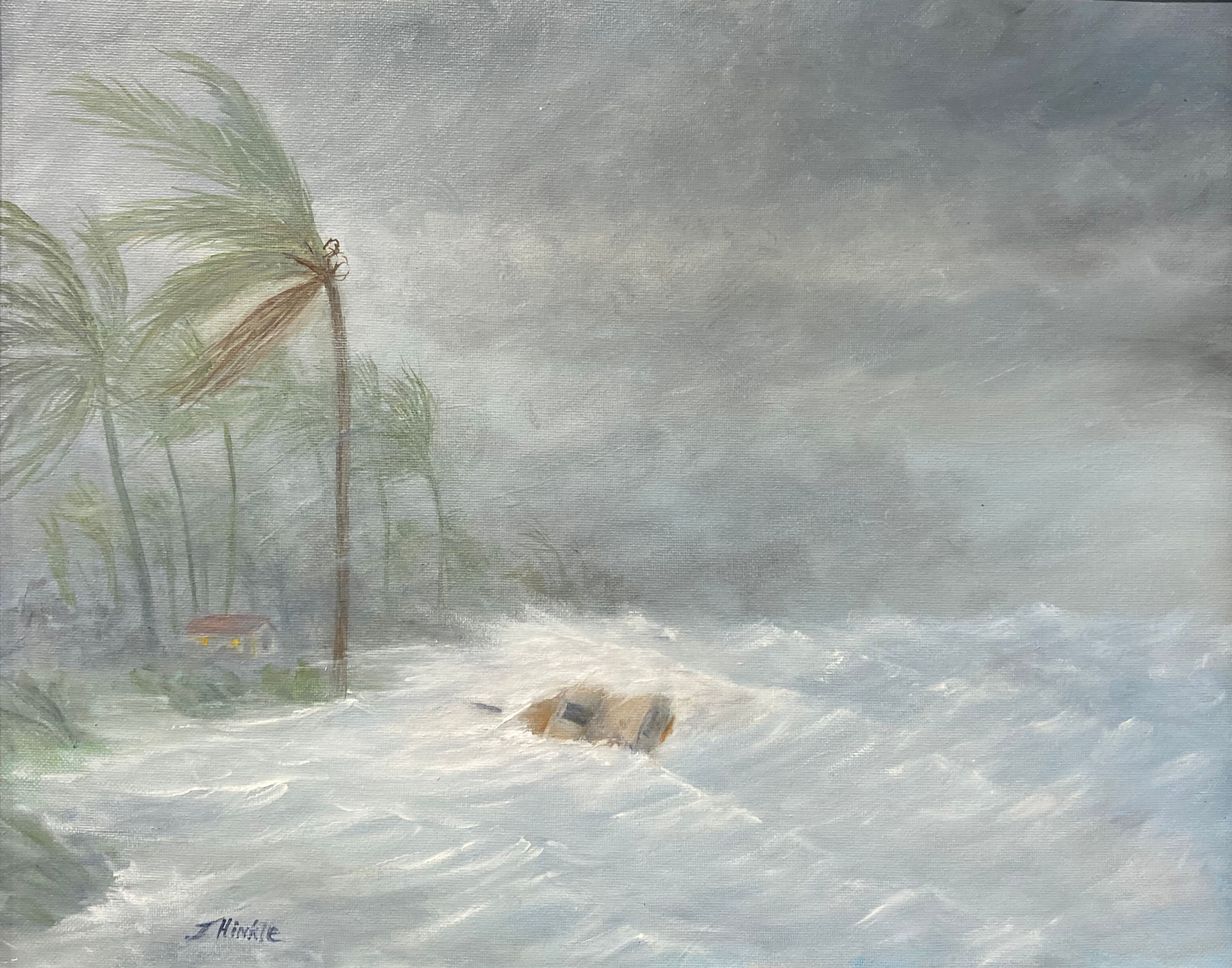 The Storm - Joyce Hinkle