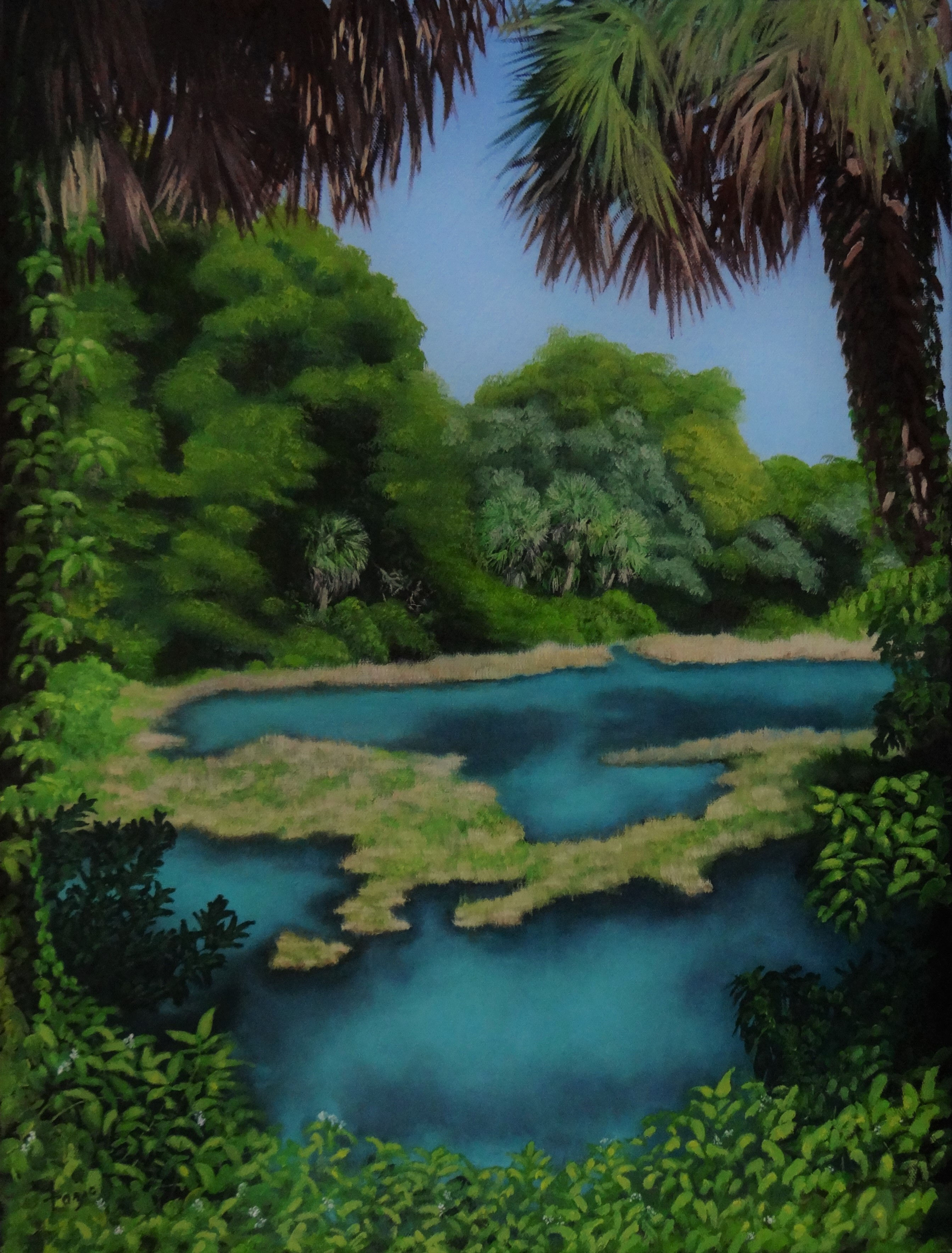 Rainbow Springs - Nancy Caroline Fazio