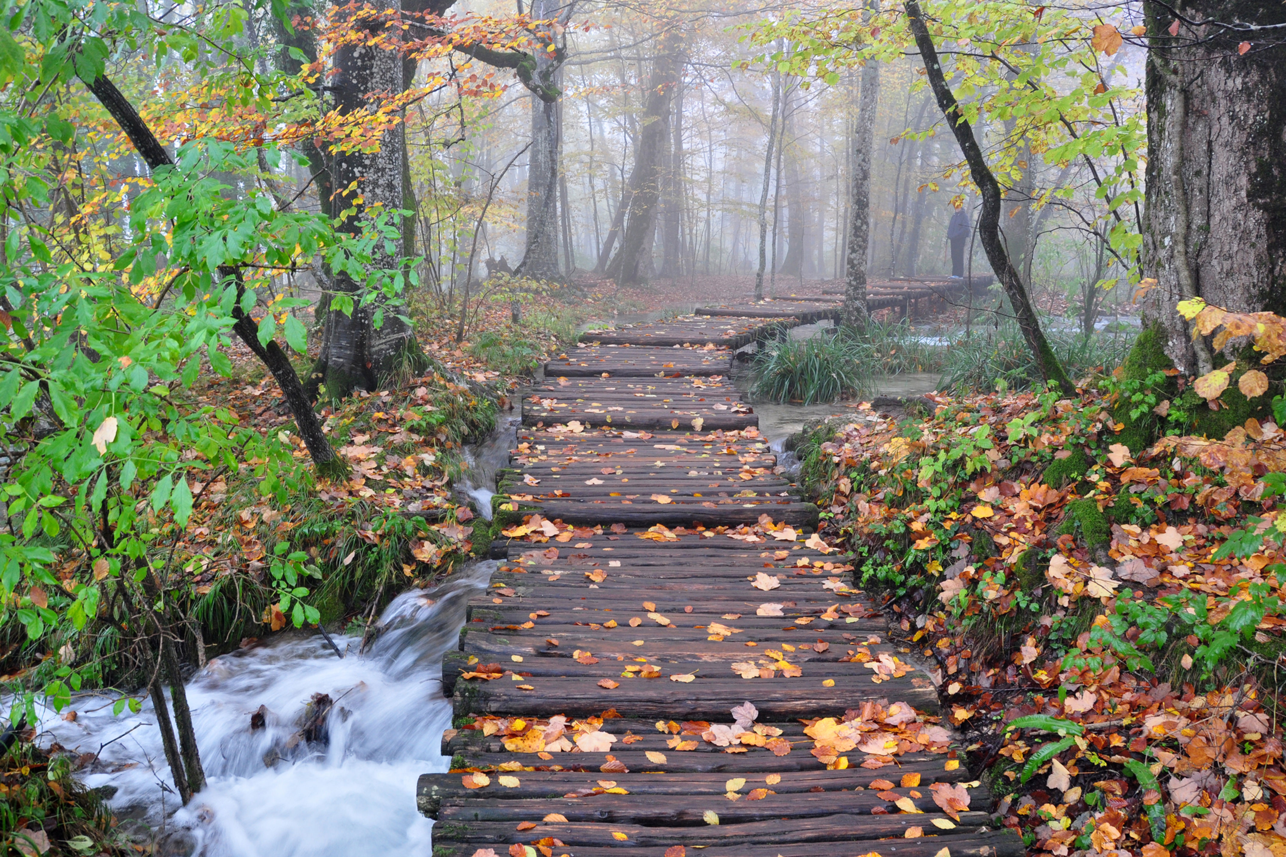 Plitvice in the Fog - John Harvey