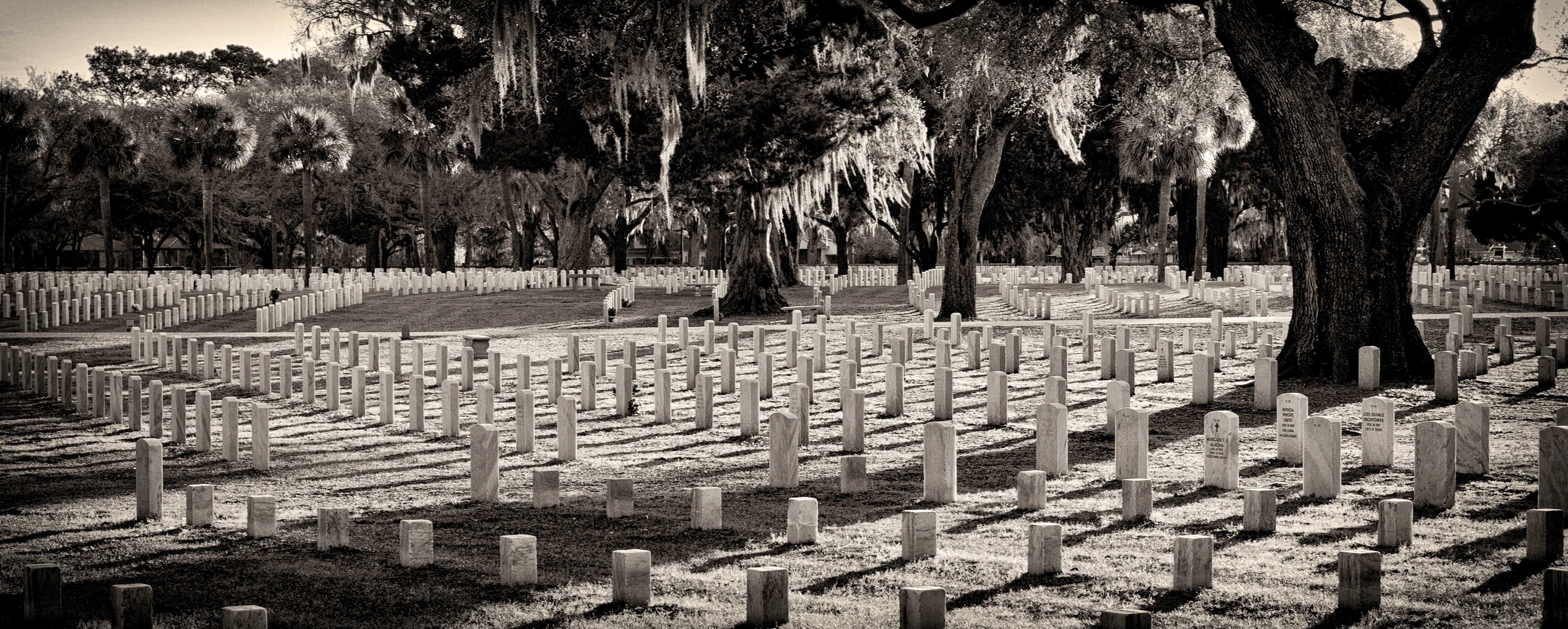 U.S. National Cemetery Beaufort, S. C. - Brooke Williams