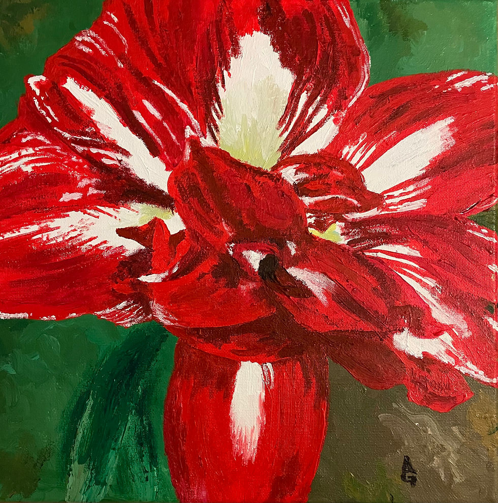 Amaryllis Abyss - Ali Graves