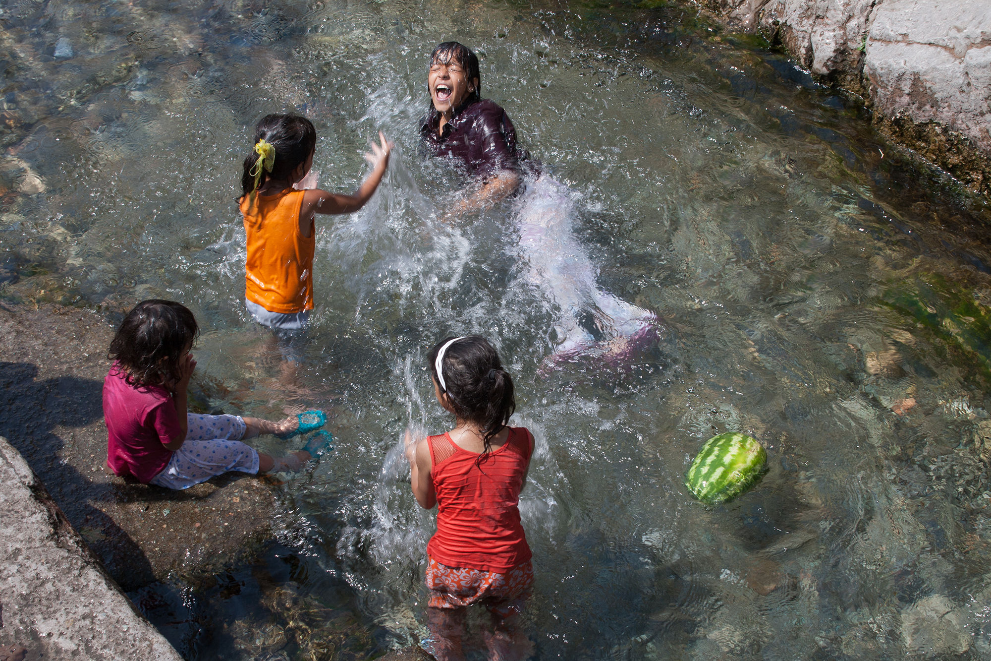 Summer - Foad Seyed Mohammadi