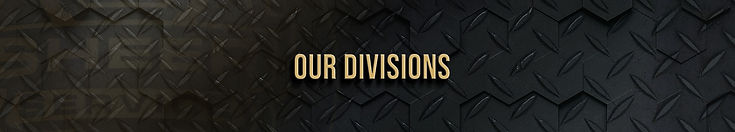 NEW_SHEER_SUBHEADERS_OUR_DIVISIONS.jpg