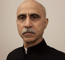 A. T. Parnaik