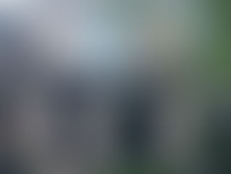 Top 10 Toronto Renovation Trends You Need to Know