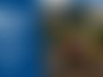 Rustic wheelbarrow with colourful Easter eggs on a stone feature in an Australian native garden with a bunny topiary.