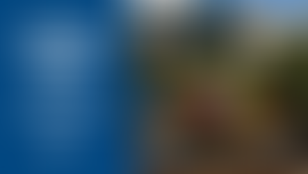 Rustic wheelbarrow with colourful Easter eggs on a stone feature in an Australian native garden with a bunny topiary.