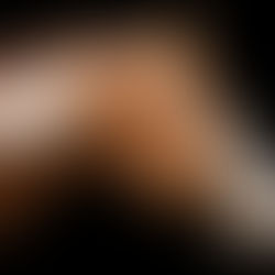 Onze nieuwe dekhengst Game Set Sensation