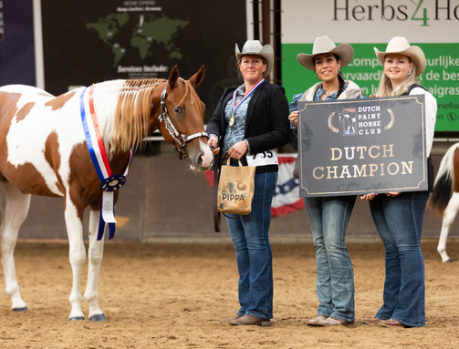 Investment In Art nakomelingen, Investment In Art offspring,