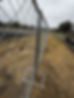 IMG_6615.jpeg
