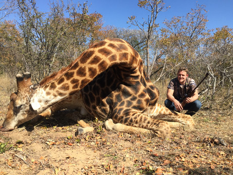 giraffe.jpeg
