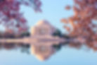 AdobeStock_182639468.jpeg