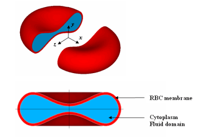 computational fluid dynamics Singapore R