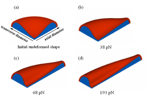 computational fluid dynamics Singapore R