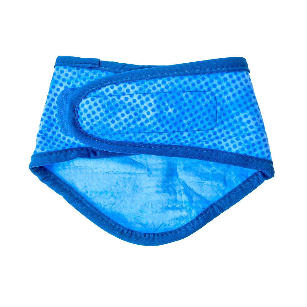 Thumbnail: ICE BAND - Dog Cooling Bandana - Blue