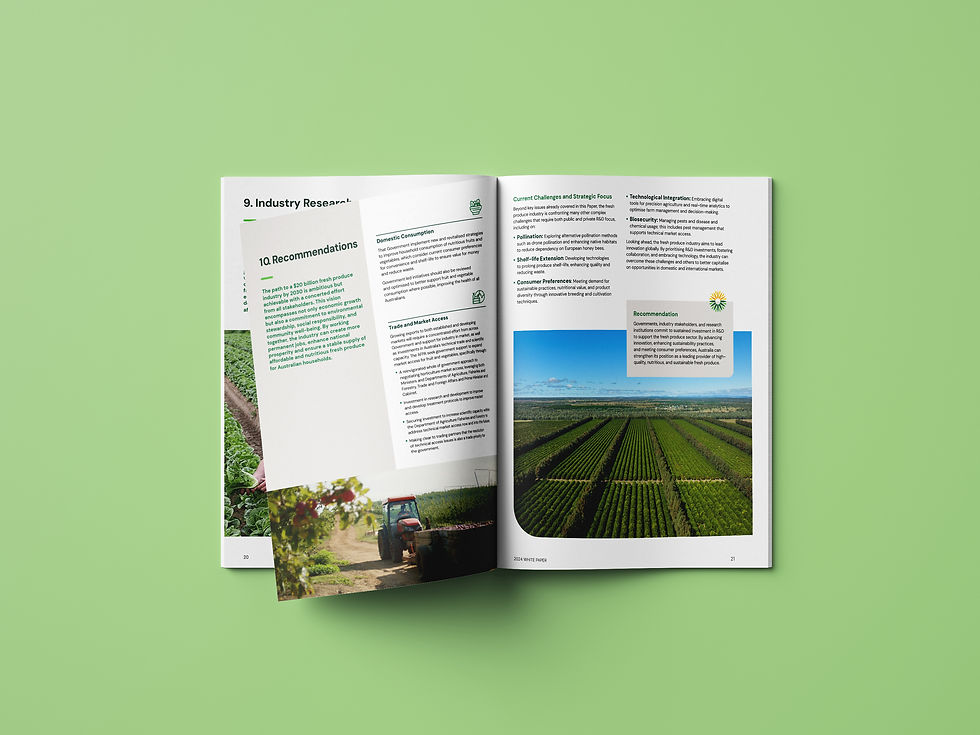 report design