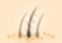scalp-pulse-benefits.jpg