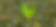 032A9683.jpg