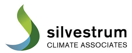 silverstrum logo.webp