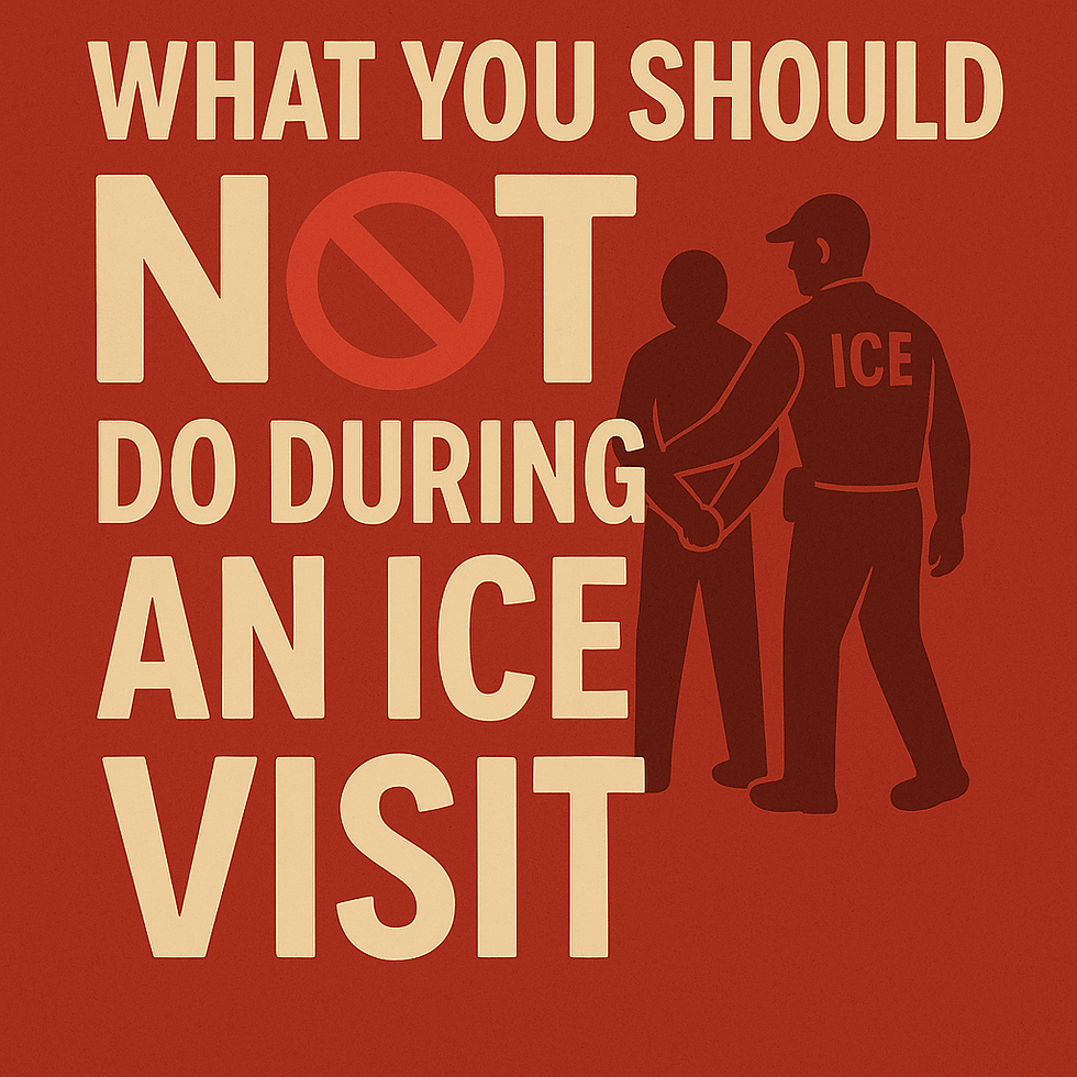 Poster with the title "What you should not during an ice visit"