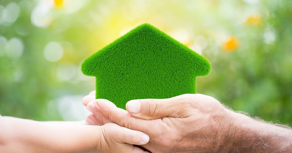 When Is It Worth Investing in Eco-Friendly Renovations?