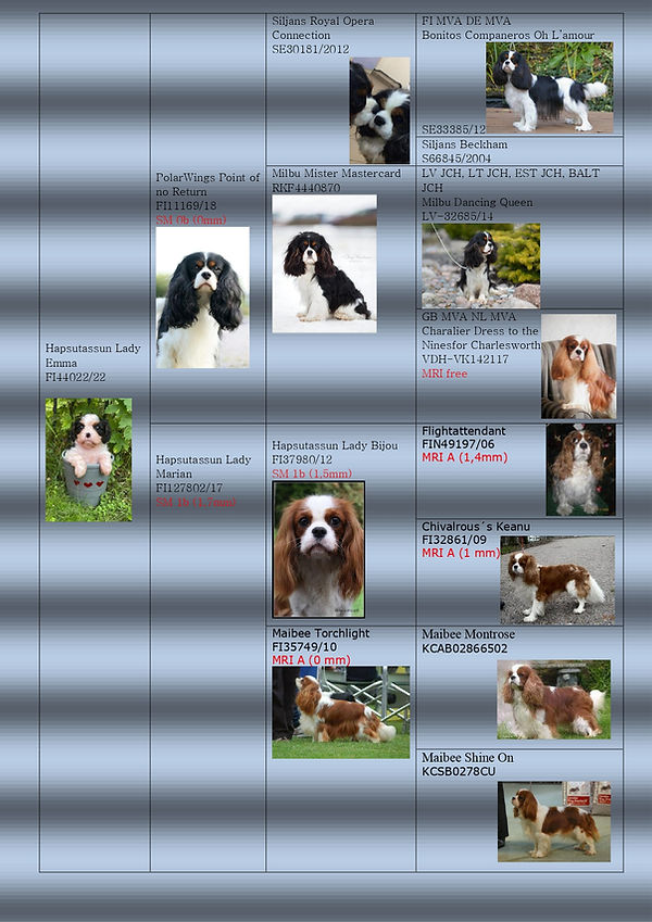 Emman sukutaulut_page-0001.jpg