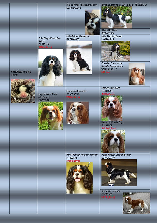 iris sukutaulu_page-0001.jpg