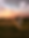 Screenshot 2025-09-13 at 7.08.41 PM.png