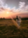 Screenshot 2025-09-13 at 7.08.41 PM.png