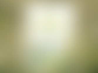 Buchempfehlung: Wandel braucht Bildung