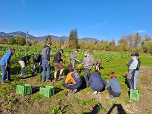 Entdecke den Acker – Kooperationsprojekt mit der SoLaWi Biotop Oberland eG
