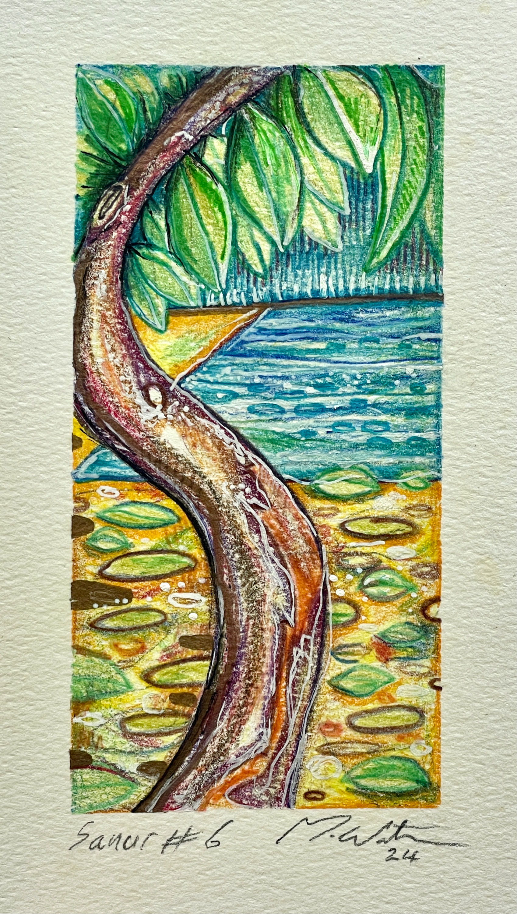 Tree & Garden (day), Sanur, Bali, 2024