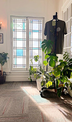492544347_122200062464137855_51287356159