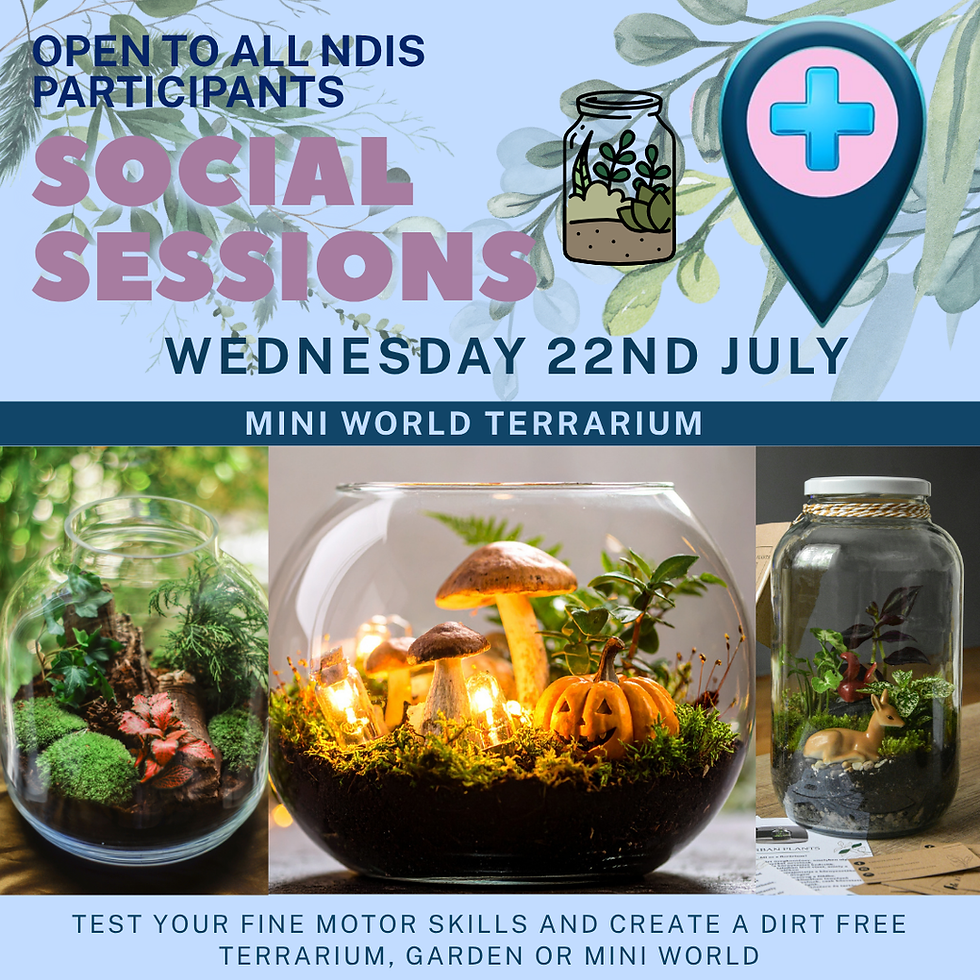 Social Sessions: Mini World Terrarium