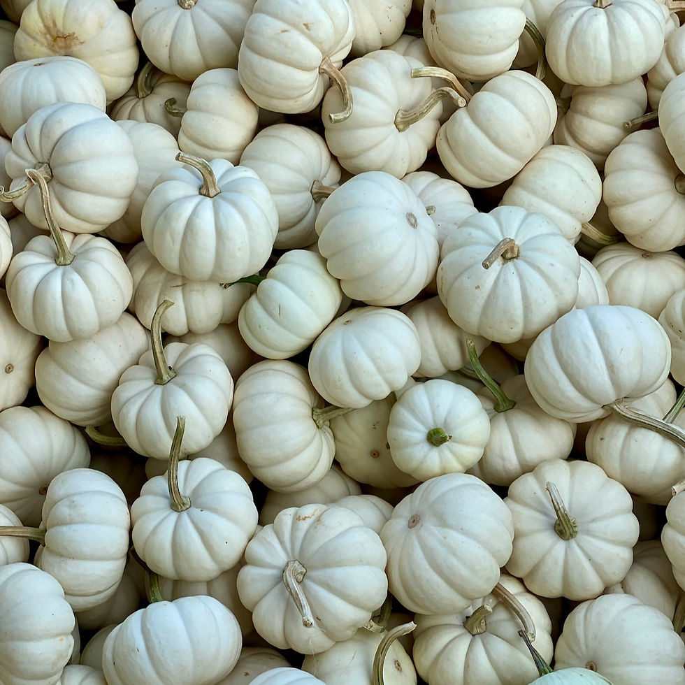 Casperita