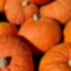 Red Warty