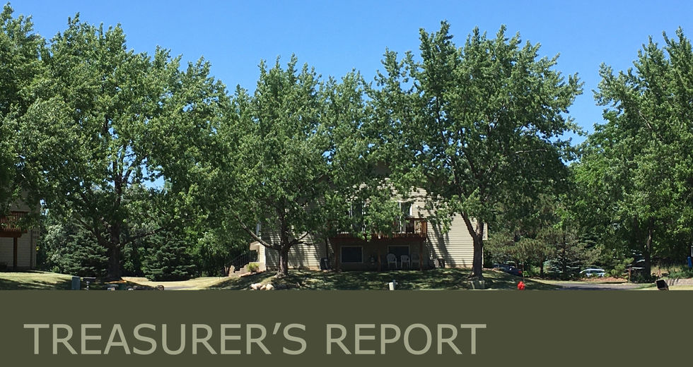 ANNUAL MEETING PRESENTATION.008.jpeg