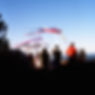 Large Wings - square icon.jpg