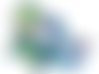 ルナレグ詰め