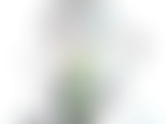 ファラデス詰め