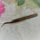 Thumbnail: Short Curved Tweezers