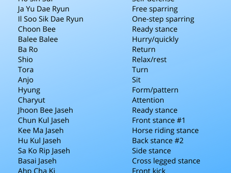 Basic Tang Soo Do Class Terminology