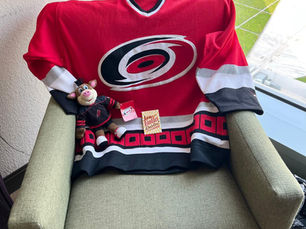 A red Carolina Hurricanes hockey jersey on an armchair in front of a window.