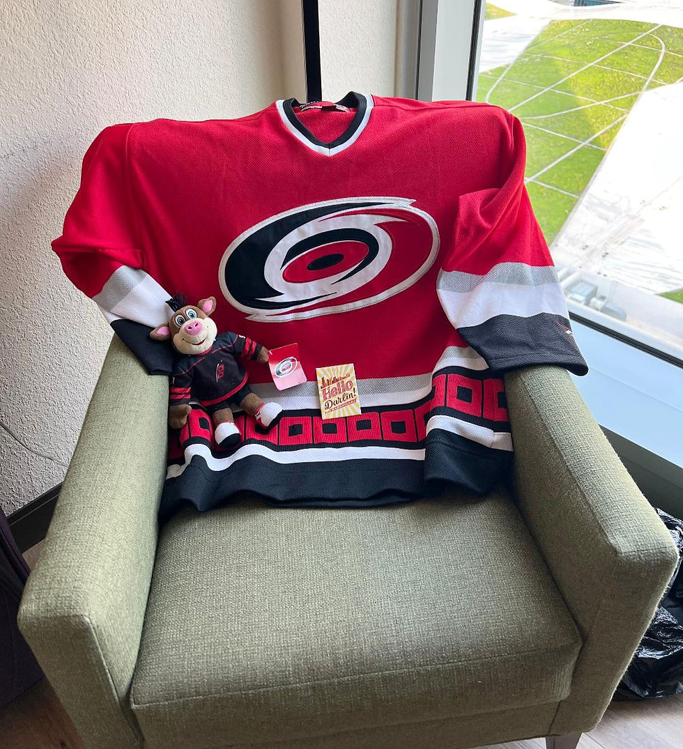 A red Carolina Hurricanes hockey jersey on an armchair in front of a window.