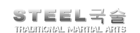 Steel Martial arts 2025 NEW website.png
