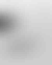 Fear of missing out in marketing