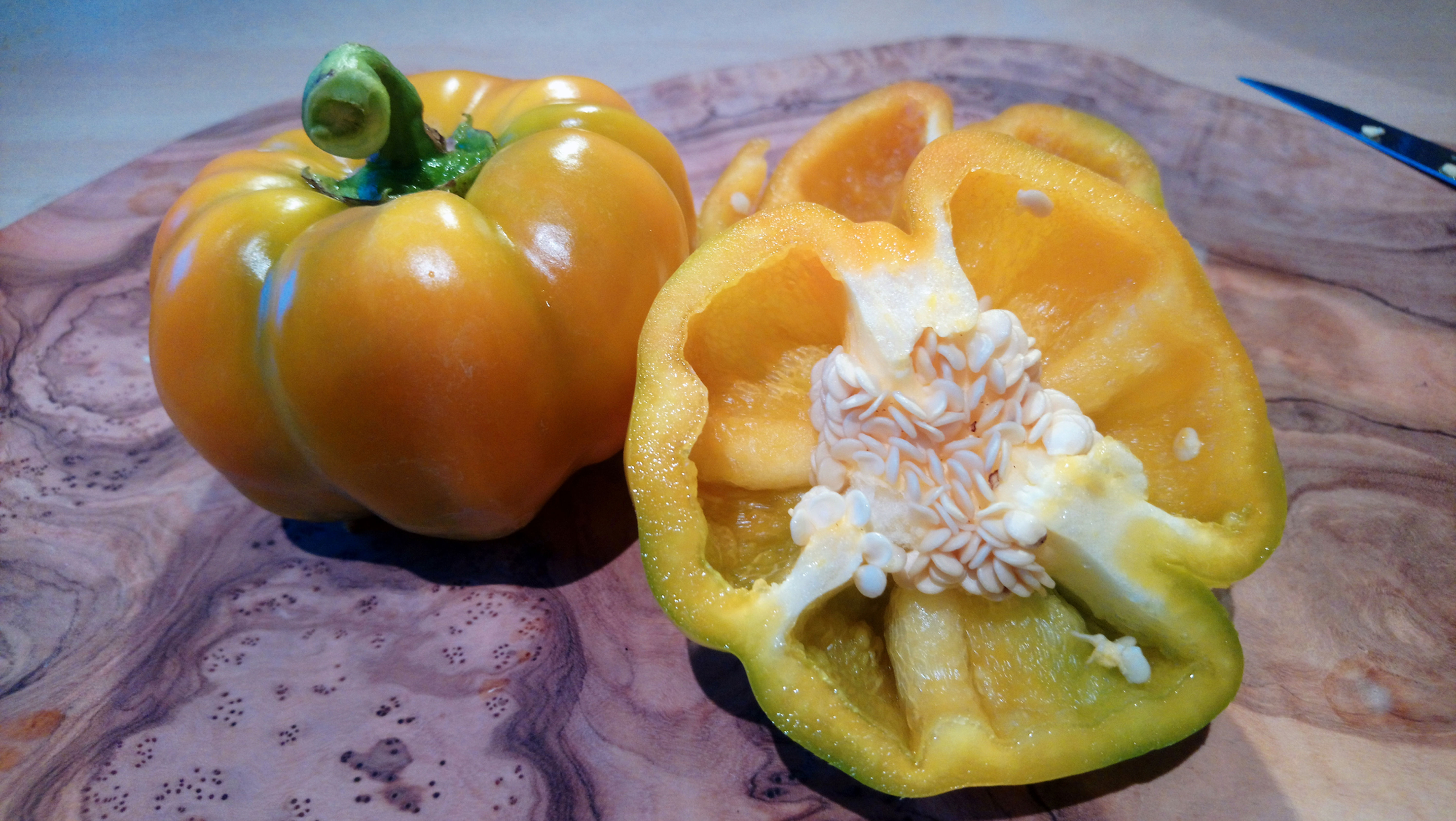 Paprika "Paradeisfrüchtiger Gelber" 